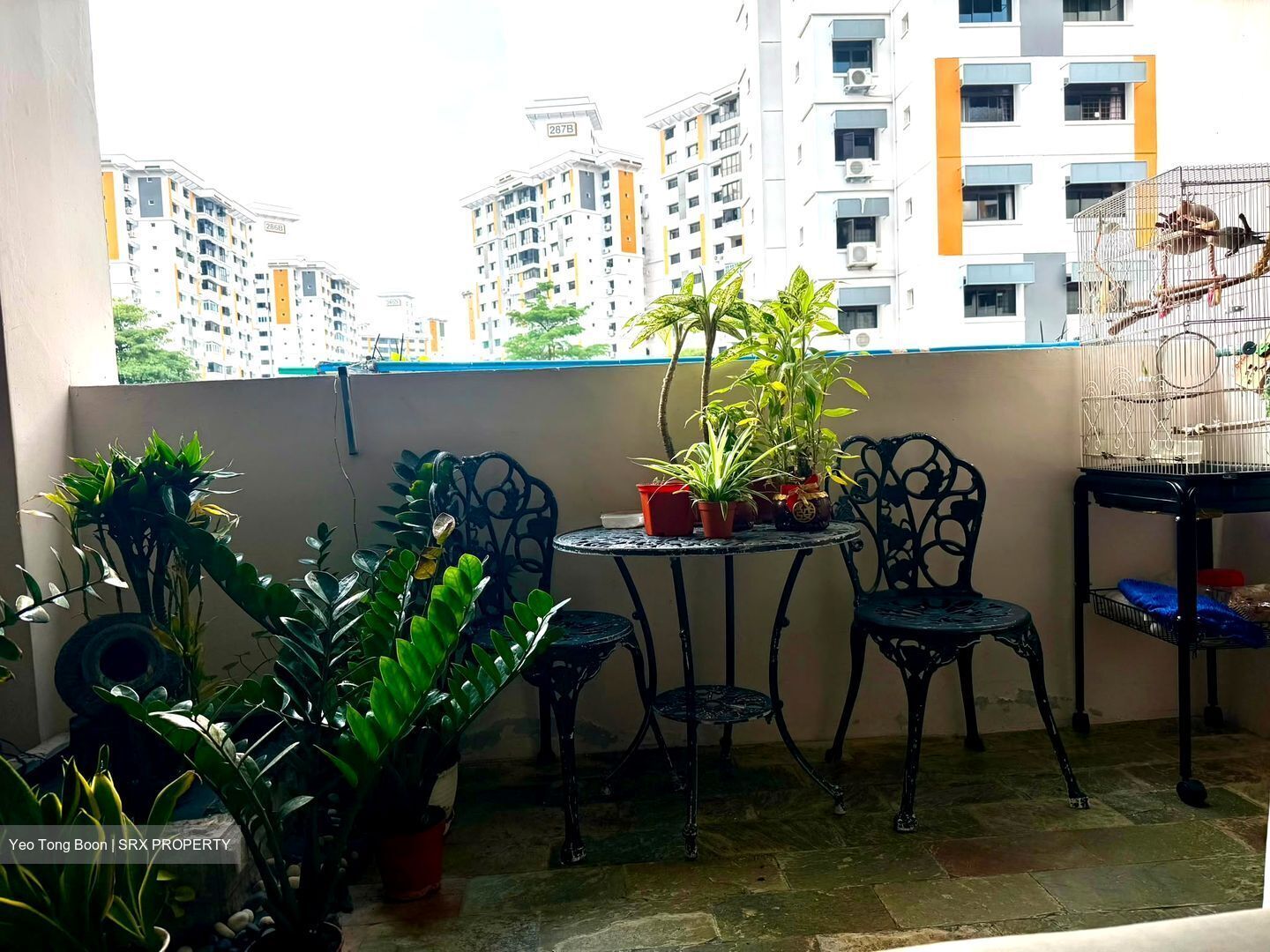 Blk 288C Jurong East Street 21 (Jurong East), HDB Executive #583998111